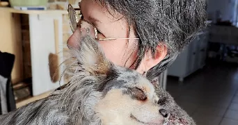 vilia dog sitter à CHEMILLE EN ANJOU 49120