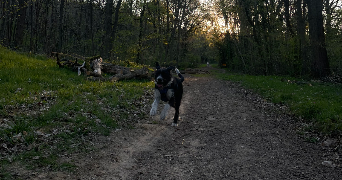 nina pet sitter à BALLAINVILLIERS 91160_2