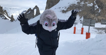 mégane pet sitter à LA FERTE ST CYR 41220_1