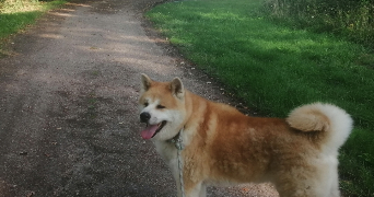 sylvette pet sitter à Épernon  28230_2