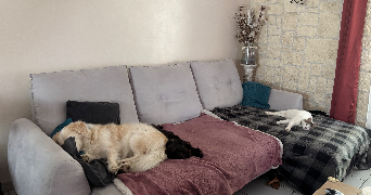 julia pet sitter à LES METAIRIES 16200_1