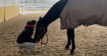 nina pet sitter à LES ABRETS EN DAUPHINE 38490_0