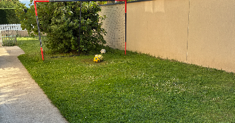 coralie pet sitter à TRELAZE 49800_1