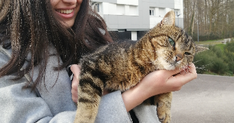 taysa pet sitter à VILLEURBANNE 69100_2