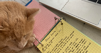 maëline pet sitter à MONTREUIL JUIGNE 49460_2