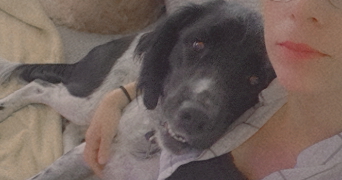 ophélie pet sitter à Le bourg dun 76740_9