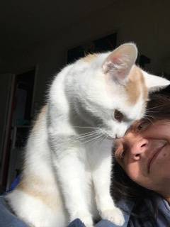 Florence pet sitter à Saint-Michel-de-la-Roë 53350