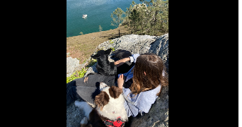 Maeline pet sitter à DIRINON 29460_3