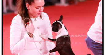 elsa pet sitter à CHALIGNY 54230_9