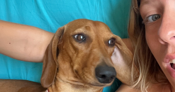 lila pet sitter à BORDEAUX 33300_1