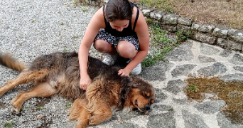 ninon pet sitter à TRELAZE 49800_2