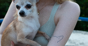 sophie pet sitter à HEROUVILLE ST CLAIR 14200_1