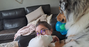 andrea pet sitter à MONT ST AIGNAN 76130_4