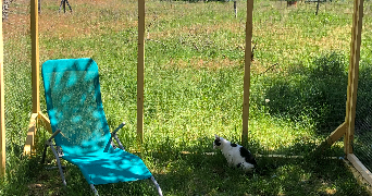 alice pet sitter à CRAINTILLEUX 42210_8
