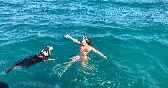 ana pet sitter à NEZIGNAN L EVEQUE 34120_0