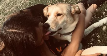 manon pet sitter à COMINES 59560