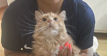 ines pet sitter à TOURNON 73460_0