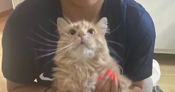 ines pet sitter à TOURNON 73460