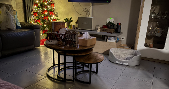 eva pet sitter à BOUCHAIN 59111_4