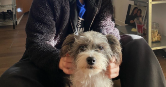 pauline pet sitter à STRASBOURG 67000_7