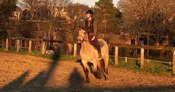 mona pet sitter à BONO 56400_3