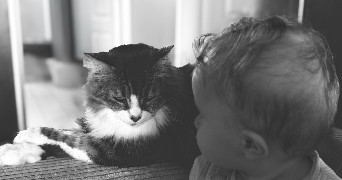 marie pet sitter à MERIGNAC 33700_3
