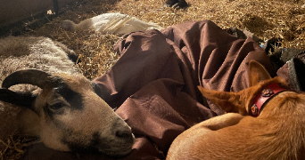 camille pet sitter à Valbonne 06740_6