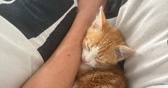 maelys pet sitter à Agen 47000_2