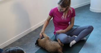 maud pet sitter à IZERNORE 01580_1