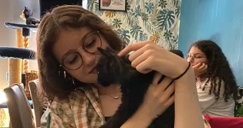 anaelle  cat sitter à STRASBOURG 67100