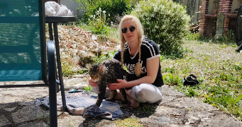 mélissa pet sitter à ESNON 89210_0
