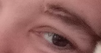 Stephanie pet sitter à LE CATEAU CAMBRESIS 59360