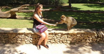 chloe pet sitter à POMPIGNAN 82170_1