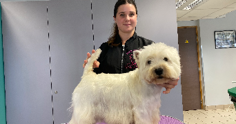 oceane pet sitter à Saint Nicolas Lez Arras 62223_4