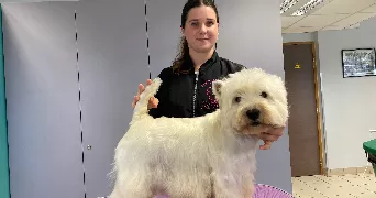 oceane pet sitter à Saint Nicolas Lez Arras 62223