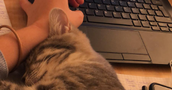 manon pet sitter à LYON 03 69003_5