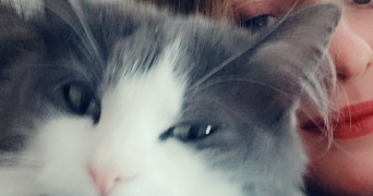 jeanne pet sitter à GRANVILLE 50400_2