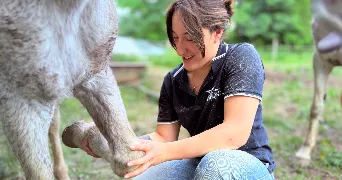 justine pet sitter à Espiet 33420