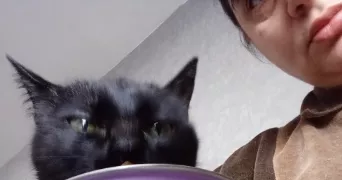 virginie cat sitter à SOISY SOUS MONTMORENCY 95230