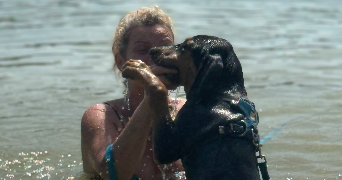 severine pet sitter à TERRASSON LAVILLEDIEU 24120_4