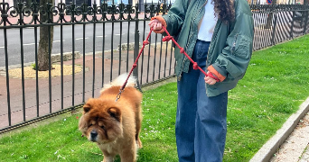 chloé pet sitter à MAISONS ALFORT 94700_4