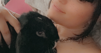 livaï pet sitter à HAGUENAU 67500_0