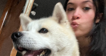 sarah pet sitter à MOLSHEIM 67120_1