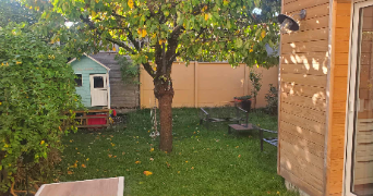 marie pet sitter à ORLEANS 45000_0