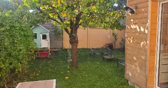 marie pet sitter à ORLEANS 45000