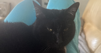 lea pet sitter à CURIENNE 73190_5
