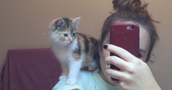 jade pet sitter à AGEN 47000_2