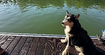 anaëlle pet sitter à PARIS 11 75011_1