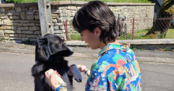 mélyne pet sitter à MARSEILLE 04 13004_1