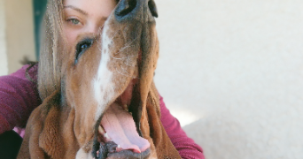 barbara pet sitter à Limoges 87000_0
